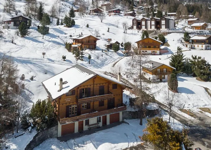 Chalet Mouettes Riddes